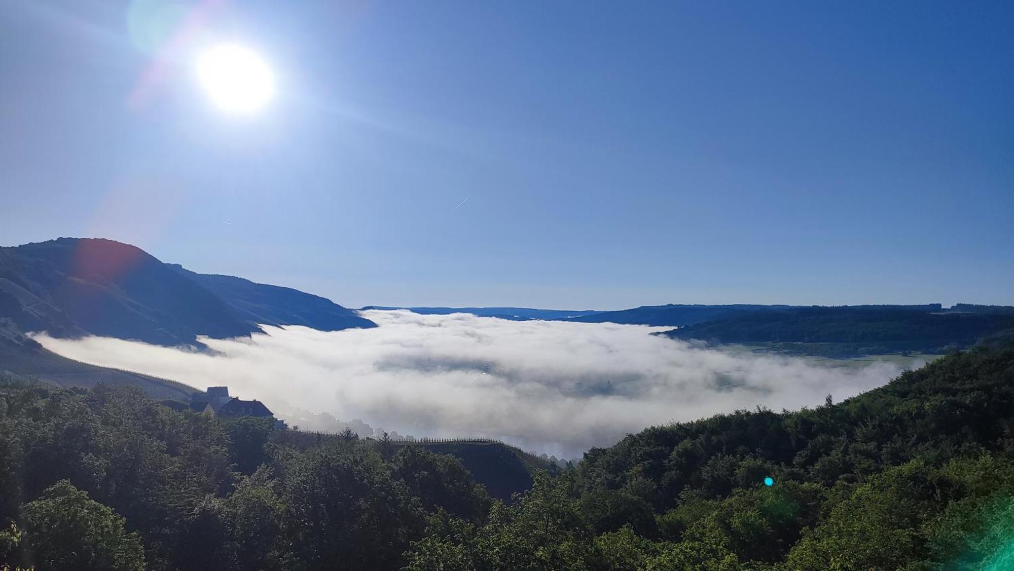 Lodge Belavista'nbed - Peaceful With Private Terrace And Amazing Mosel Valley View *